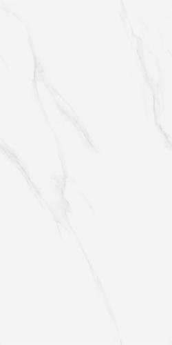 LY8902