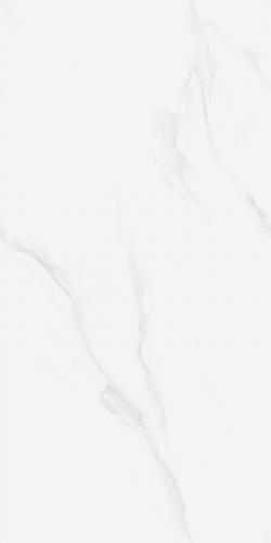 LY8902-2