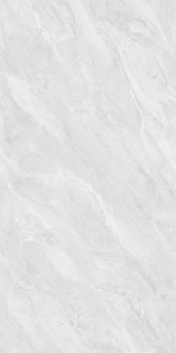 LY4813-2