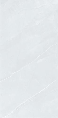 8T8081_07