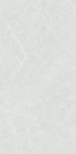 LY4851-3