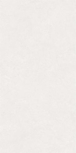 LY4856-2