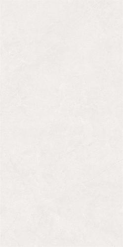 LY4856-3