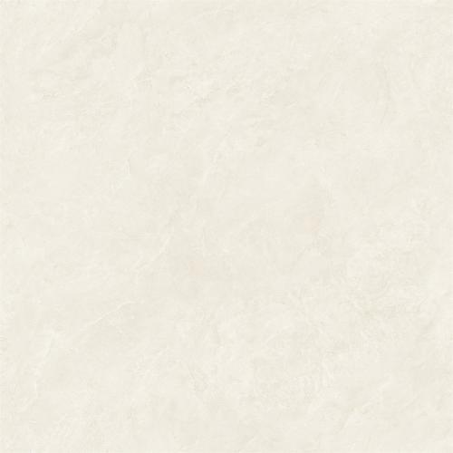 LTB8381白玉兰-3