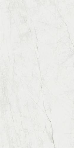 LTR612617凤羽白-2