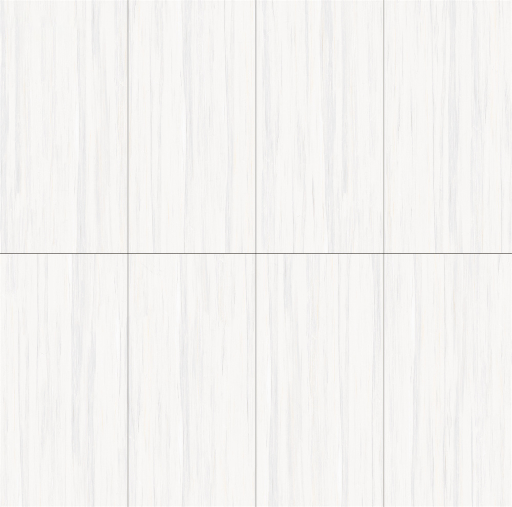 8T8087.jpg